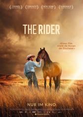 Filmplakat zu "The Rider" | Bild: Weltkino Filmplakat zu "The Rider" | Bild: Weltkino