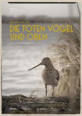 Filmplakat zu "Die toten Vögel sind oben" | Bild: RealFiction