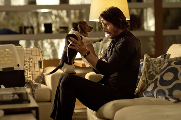 Szenenbild aus "John Wick" | Bild: Studio Canal