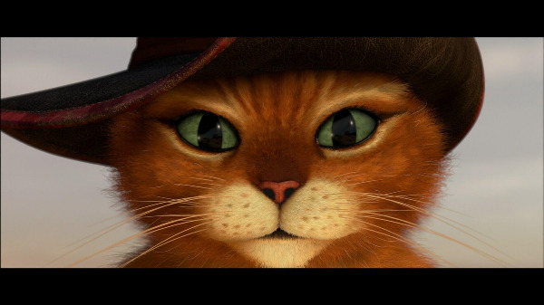 Szenenbild aus "Der gestiefelte Kater: Der letzte Wunsch" | Bild: Universal Szenenbild aus "Der gestiefelte Kater: Der letzte Wunsch" | Bild: Universal