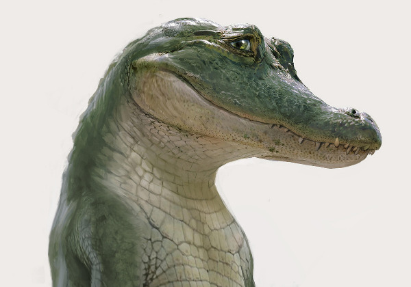 Szenenbild aus "Lyle - Mein Freund, das Krokodil" | Bild: Sony