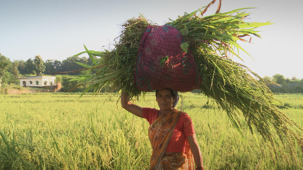 Szenenbild aus "Vandana Shiva" | Bild: Mindjazz