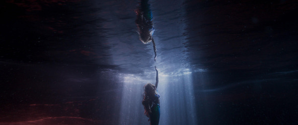 Szenenbild aus "Arielle, die Meerjungfrau" | Bild: WaltDisney