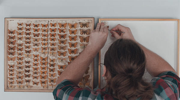 Szenenbild aus "Die toten Vögel sind oben" | Bild: RealFiction