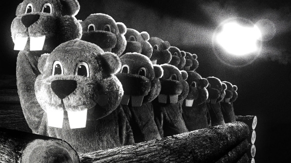 Szenenbild aus "Hundreds of Beavers" | Bild: 24Bilder