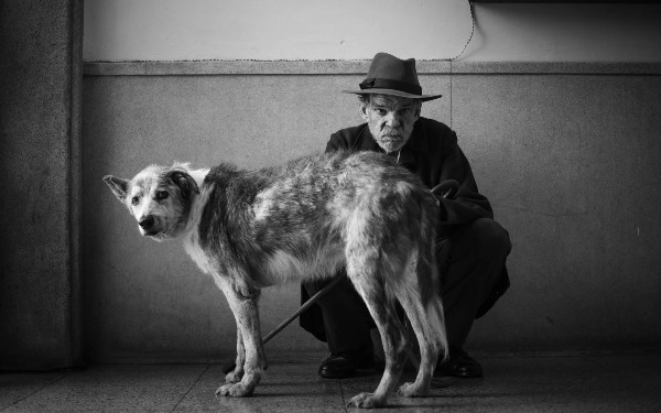 Szenenbild aus "Der Fremde" | Bild: Weltkino