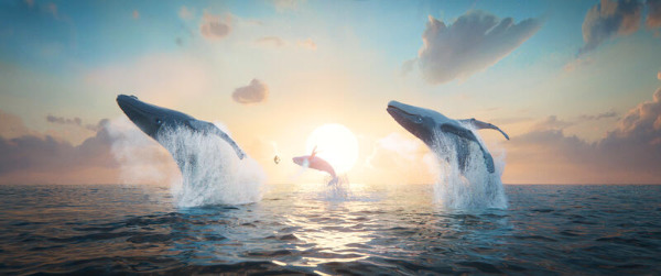 Szenenbild aus "Der letzte Walsänger" | Bild: Central