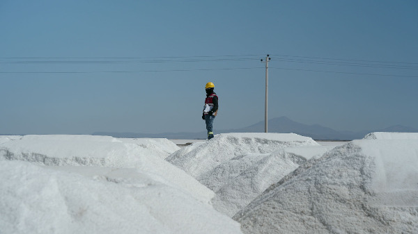 Szenenbild aus "Materia Prima " | Bild: CineGlobal