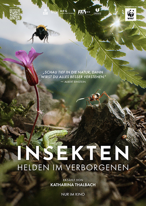 Filmplakat zu "Insekten" | Bild: Camino