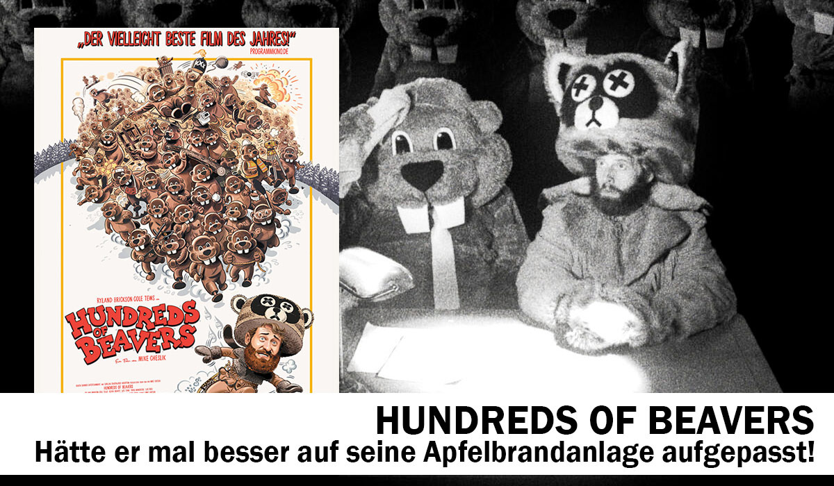 Hundreds of Beavers